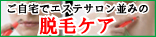 �������ߏ��ilbd