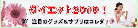 ���ڂ̃_�C�G�b�g2009